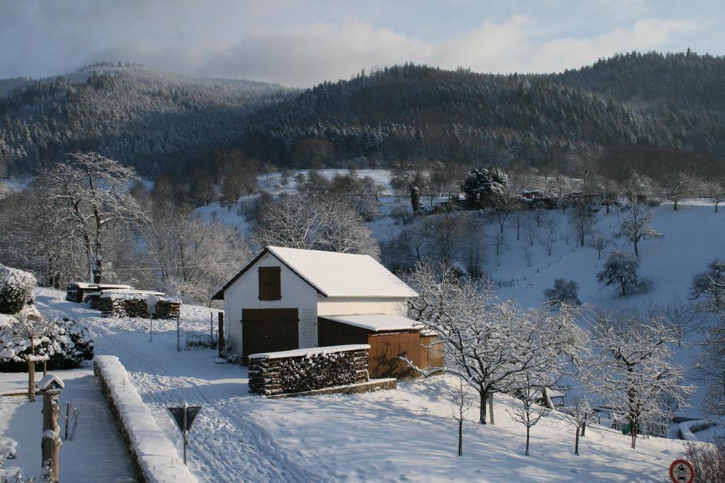 Bella Natura Loffenau Exteriér fotografie